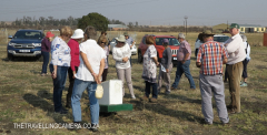 Colenso Gun capture Site (3)