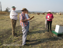 Colenso Gun capture Site (4)