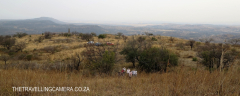 Colenso - Inniskilling Hill (45)