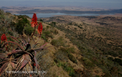 Spionkop outlook towards Tugela (9)