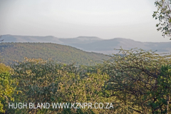 Bambatha Rock & Memorial - S 28.54.864 E30.33.503 Elev 891m (16)