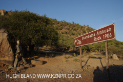 Bambatha Rock & Memorial - S 28.54.864 E30.33.503 Elev 891m (3)