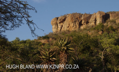 Bambatha Rock & Memorial - S 28.54.864 E30.33.503 Elev 891m (5)